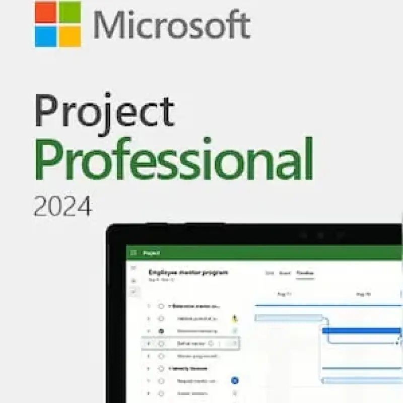 Project 2024 Professional