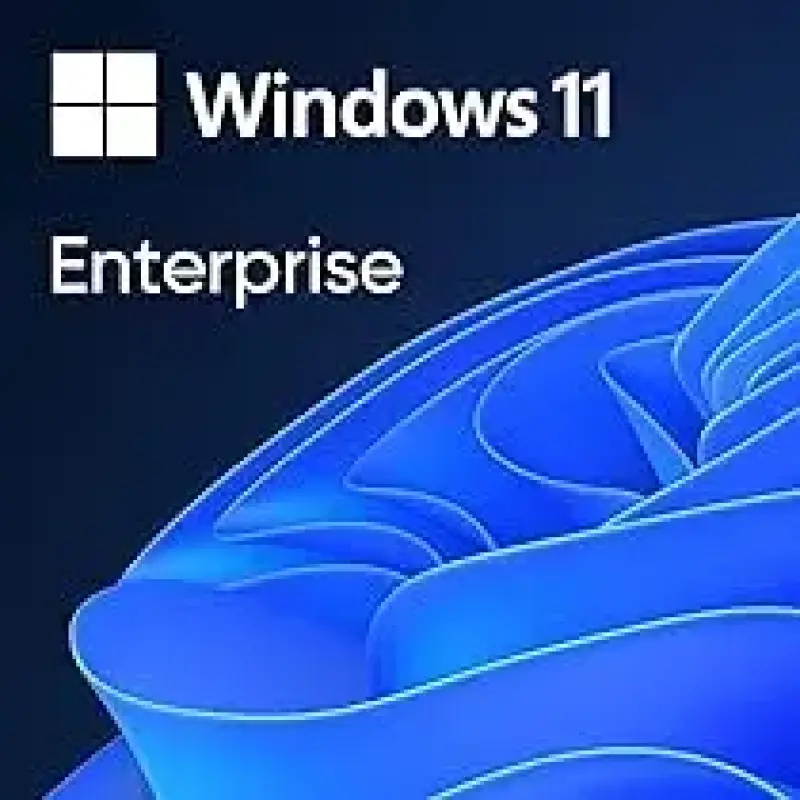 Microsoft Windows 11 Enterprise Multi-Session