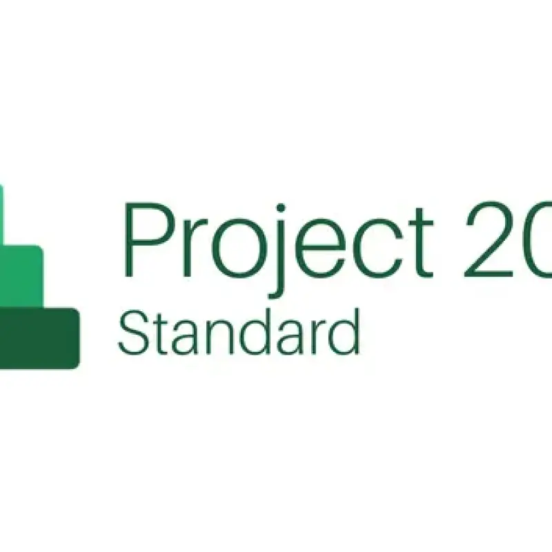 Project 2016 Standard