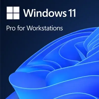 Microsoft Windows 11 Pro for Workstations
